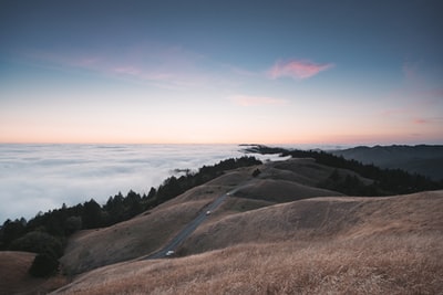 白天水体附近的褐色草地